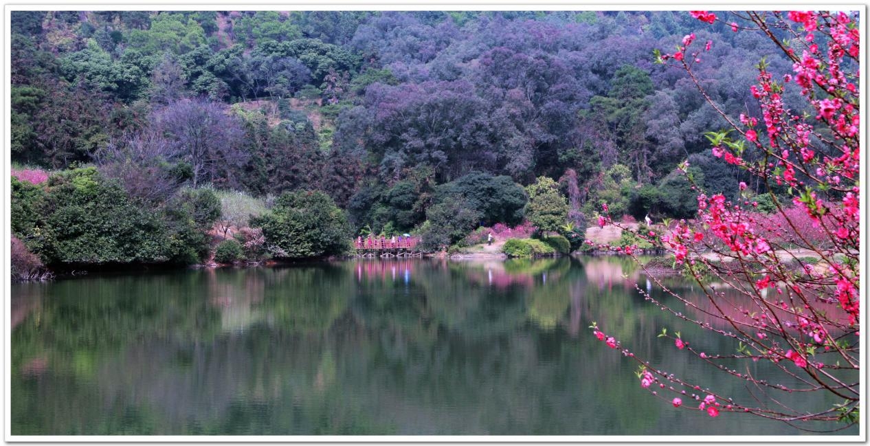感受南粤花样冬天,收获别样浪漫新年!-千龙网·