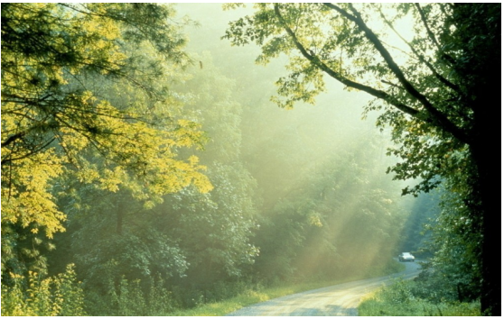 逃离雾霾,冬天来广东氧吧深呼吸!-千龙网·中