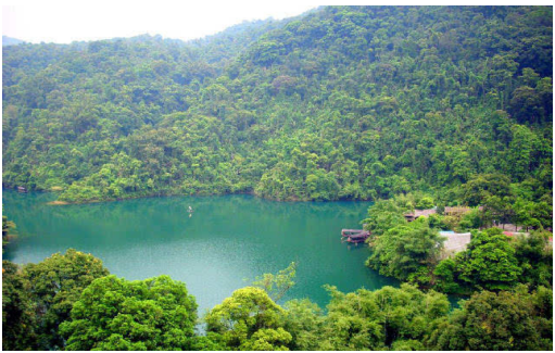 逃离雾霾,冬天来广东氧吧深呼吸!-千龙网·中