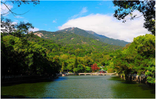 逃离雾霾,冬天来广东氧吧深呼吸!-千龙网·中